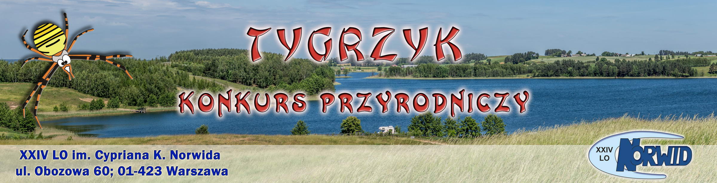 Tygrzyk - Suwalszczyzna